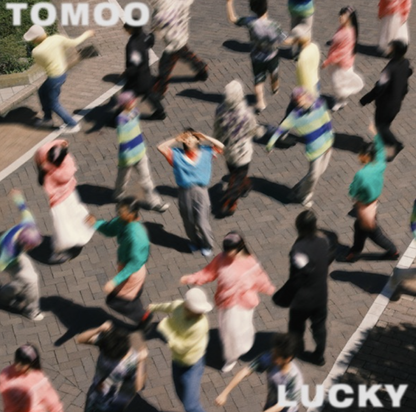 スクリーンショット 2025-07-15 10.44.00.png